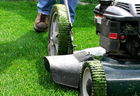 Chicago lawn maintenance services