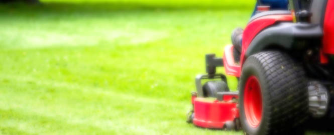 Lawn maintenance services